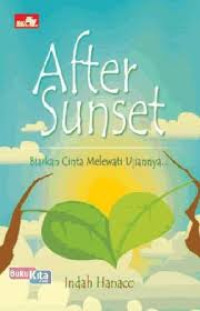 Image of After Sunset