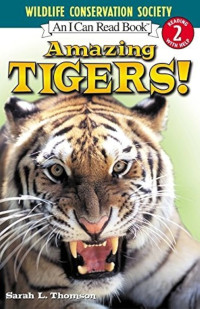Image of I Can Read! 2 - Amazing Tigers!