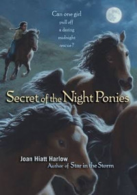 Image of Secrets of the Night Ponies