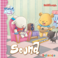 Image of Sound Science Brady the Bunny