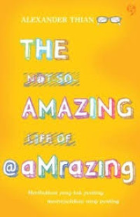 Image of The not so Amazing life of @aMrazing