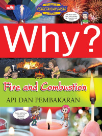 Image of WHY ? Fire and Combustion